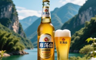 雁荡山至尊啤酒价格几何？