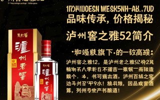 泸州窖之雅52售价几何？价格之谜待揭晓。