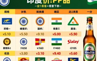 印度啤酒一瓶价格几何？