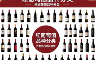 红酒世界之谜，究竟有多少品种等待探索？