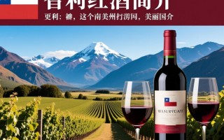 智利红酒珍藏级，品质之谜何在？