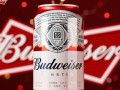 百威易拉罐售价是多少？价格有变动吗？