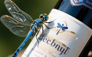 法国红酒与蓝蜻蜓有何神秘联系？