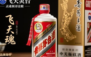 飞天茅台标识之谜，其背后的含义与历史渊源？