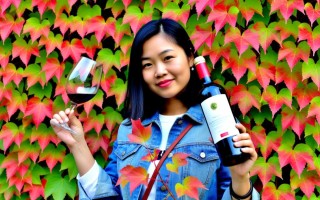 红叶红酒价格之谜，一瓶多少钱？