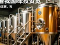 鲜酿啤酒设备价格几何？性价比如何？