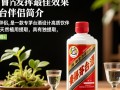 茅台伴侣使用方法详解？