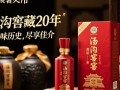 汤沟窖藏20年售价几何？揭秘高端白酒价格之谜