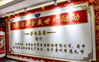 茅台集团白金盛世功勋，其背后的故事与意义是什么？