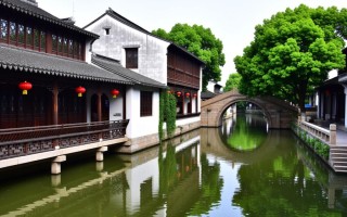 古井镇金娇原浆价格几何？市场行情揭秘！