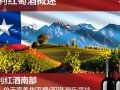 智利红酒批发市场，进口渠道揭秘了吗？