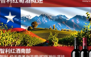 智利红酒批发市场，进口渠道揭秘了吗？