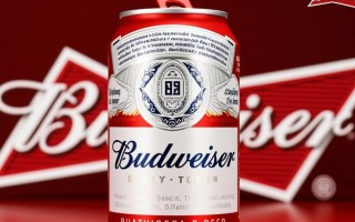 百威啤酒罐装售价几何？价格揭秘！