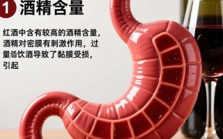 红酒致胃不适？揭秘胃痛背后的原因！