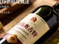 青岛奥古特酒精度数是多少？