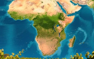 南非奥迪莎红酒，品质卓越，为何知名度不高？