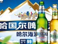 哈尔滨啤酒一听售价是多少？