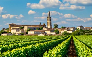 波尔买红酒，品质如何？价格合理吗？