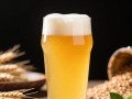 原浆啤酒酒精度数范围是多少？