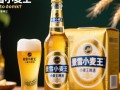 景雪小麦王啤酒价格是多少？