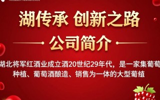 湖北将军红酒业，其发展现状与市场前景如何？