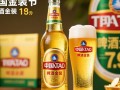 青岛啤酒金装售价几何？揭秘市场行情！