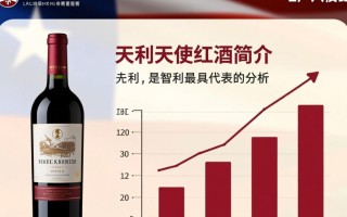 智利天使红酒，为何价格差异如此之大？