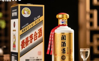 闻酒w9售价是多少？