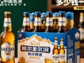 哈尔滨啤酒一打价格是多少？
