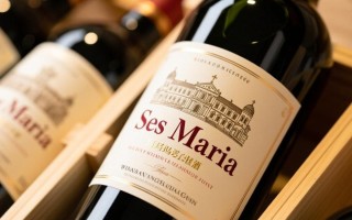 圣玛丽红酒价格为何如此悬殊？揭秘高端与平民之差