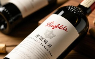 奔富红酒品牌，其市场地位与未来发展趋势如何？