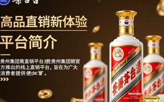 贵州茅台集团直销平台，其背后策略与市场影响究竟如何？
