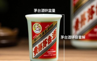 茅台酒盅容量是多少两？价格几何？