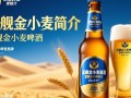 蓝舰金小麦啤酒价格是多少？