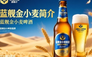 蓝舰金小麦啤酒价格是多少？