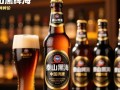 泰山黑啤一瓶售价是多少？