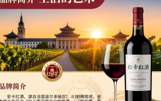 安卡红酒th有何独特之处，为何备受关注？