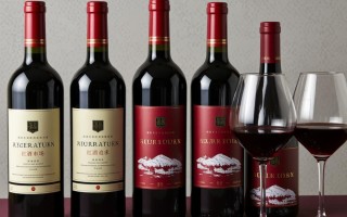 红酒市场计划，策略调整与未来趋势如何？